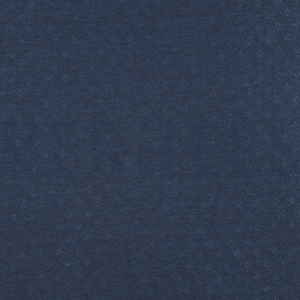 POINTOILLE NAVY MELANGE (high resolution)