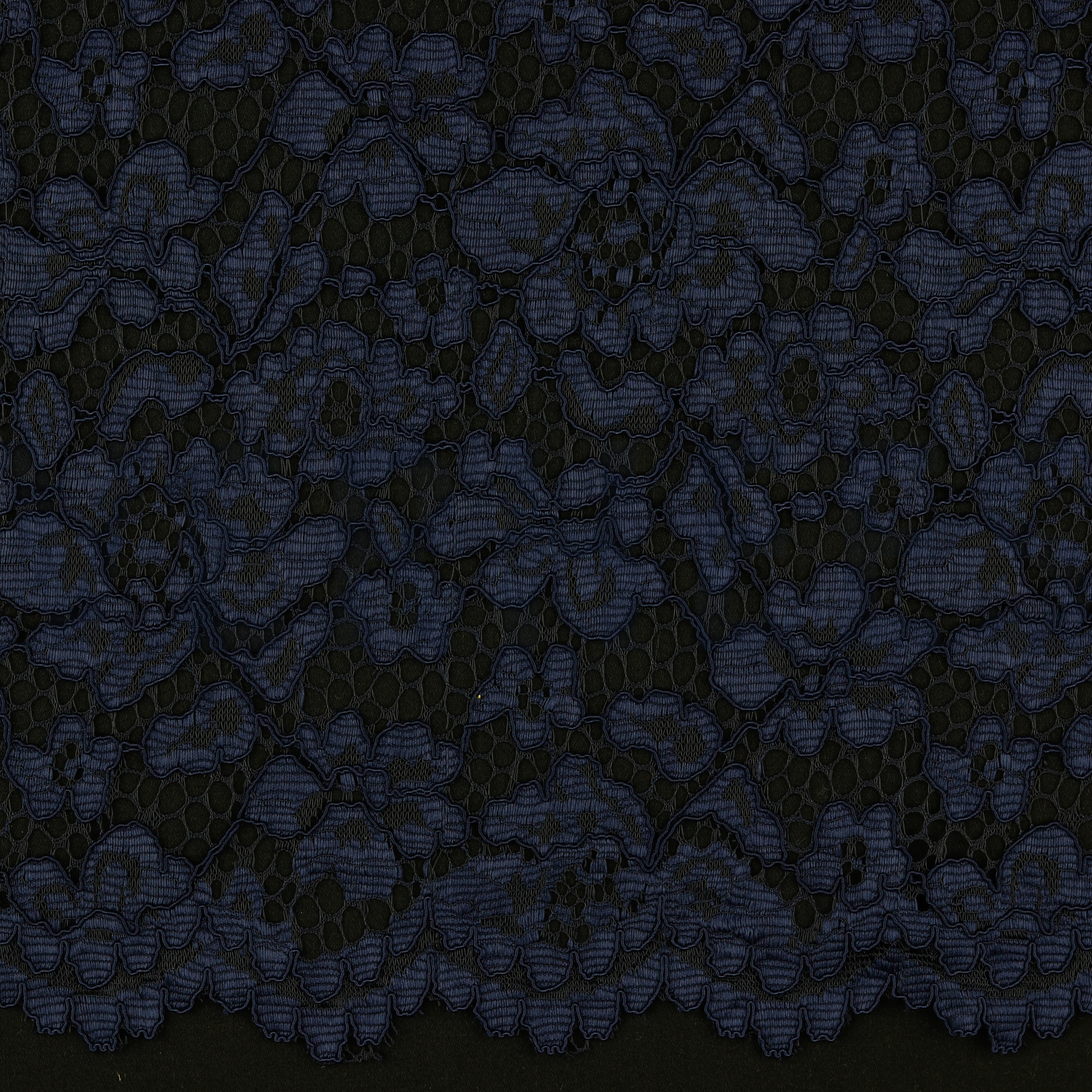 LACE BORDER 2 SIDES NAVY (high resolution)