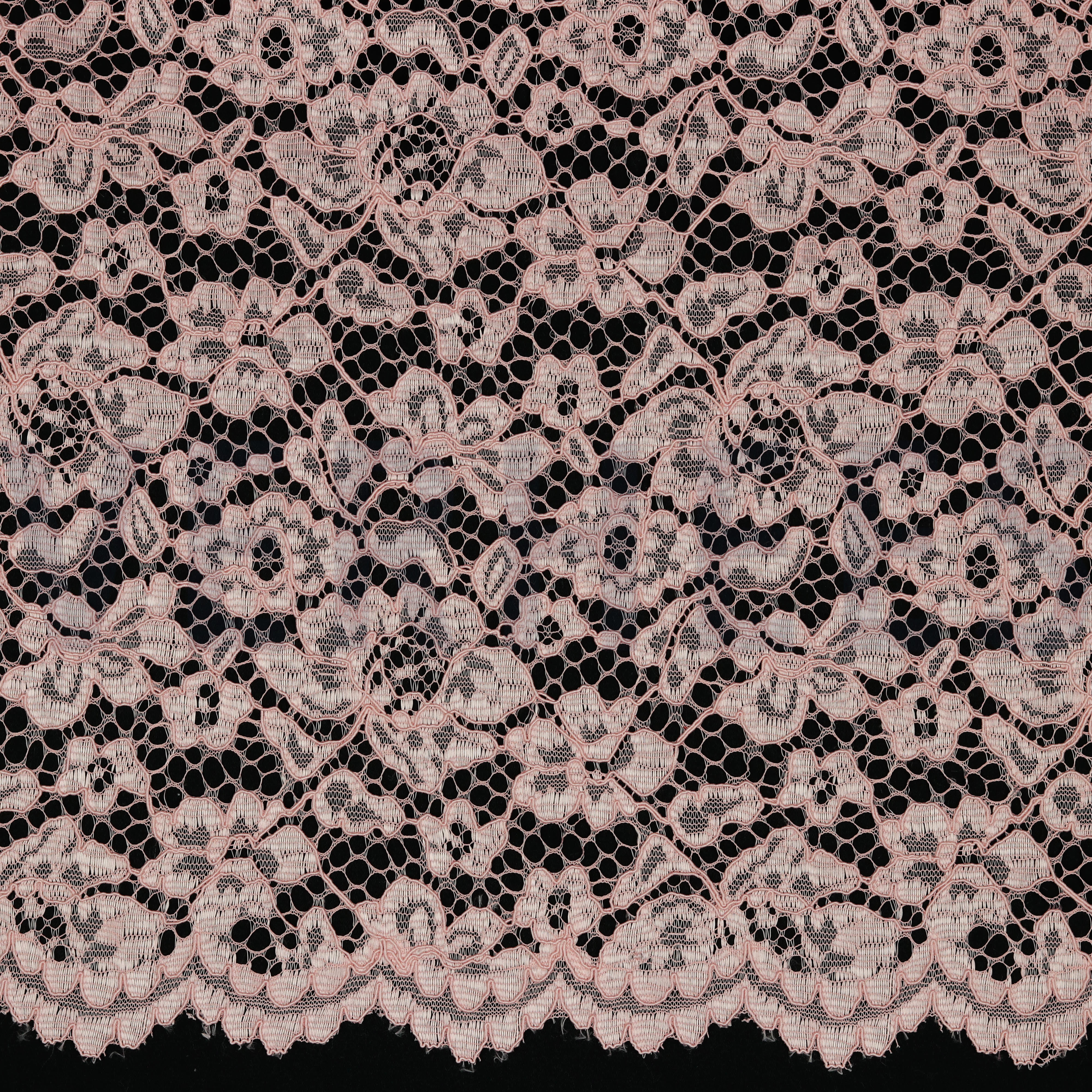 LACE BORDER 2 SIDES ROSE (high resolution)