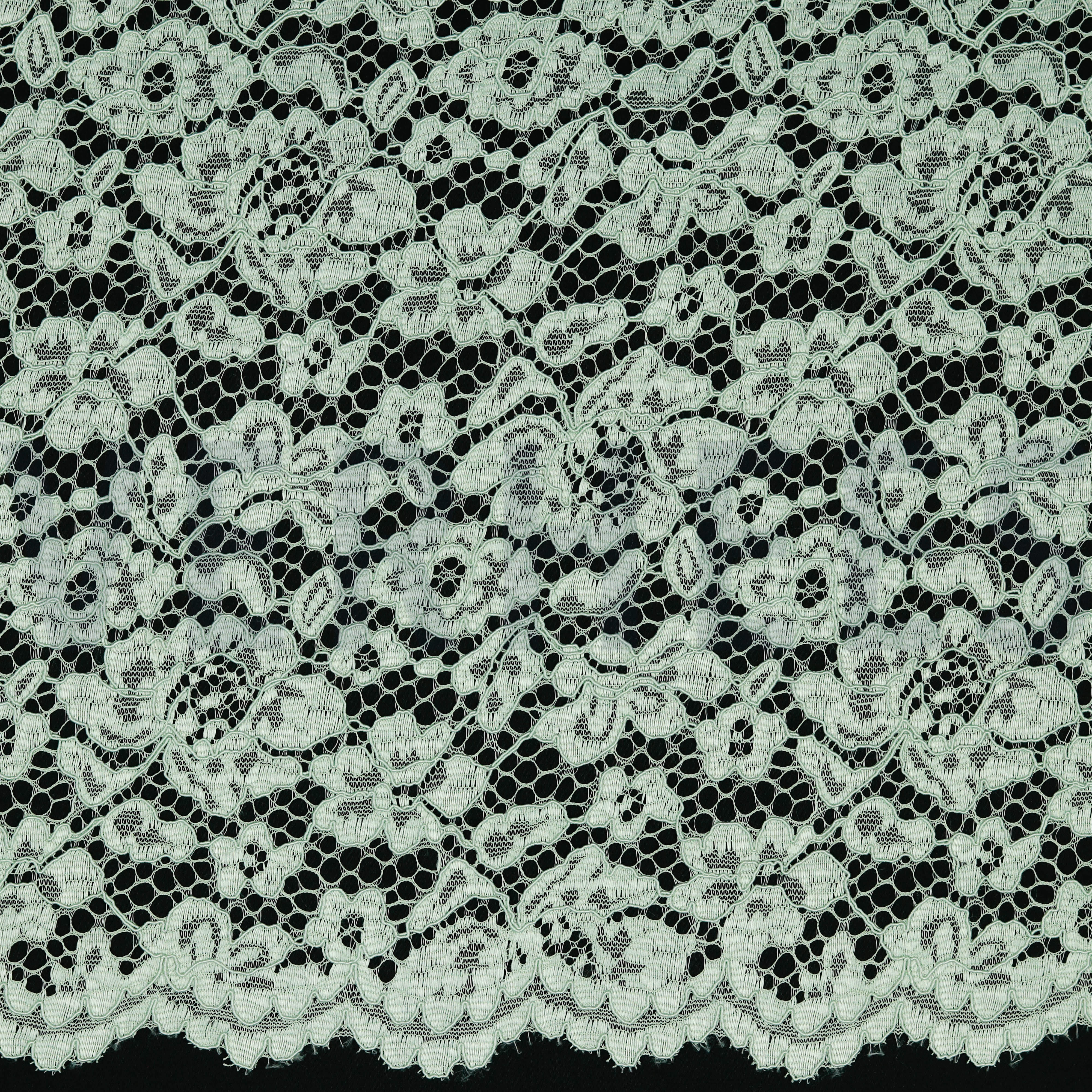 LACE BORDER 2 SIDES LIGHT GREEN (high resolution)