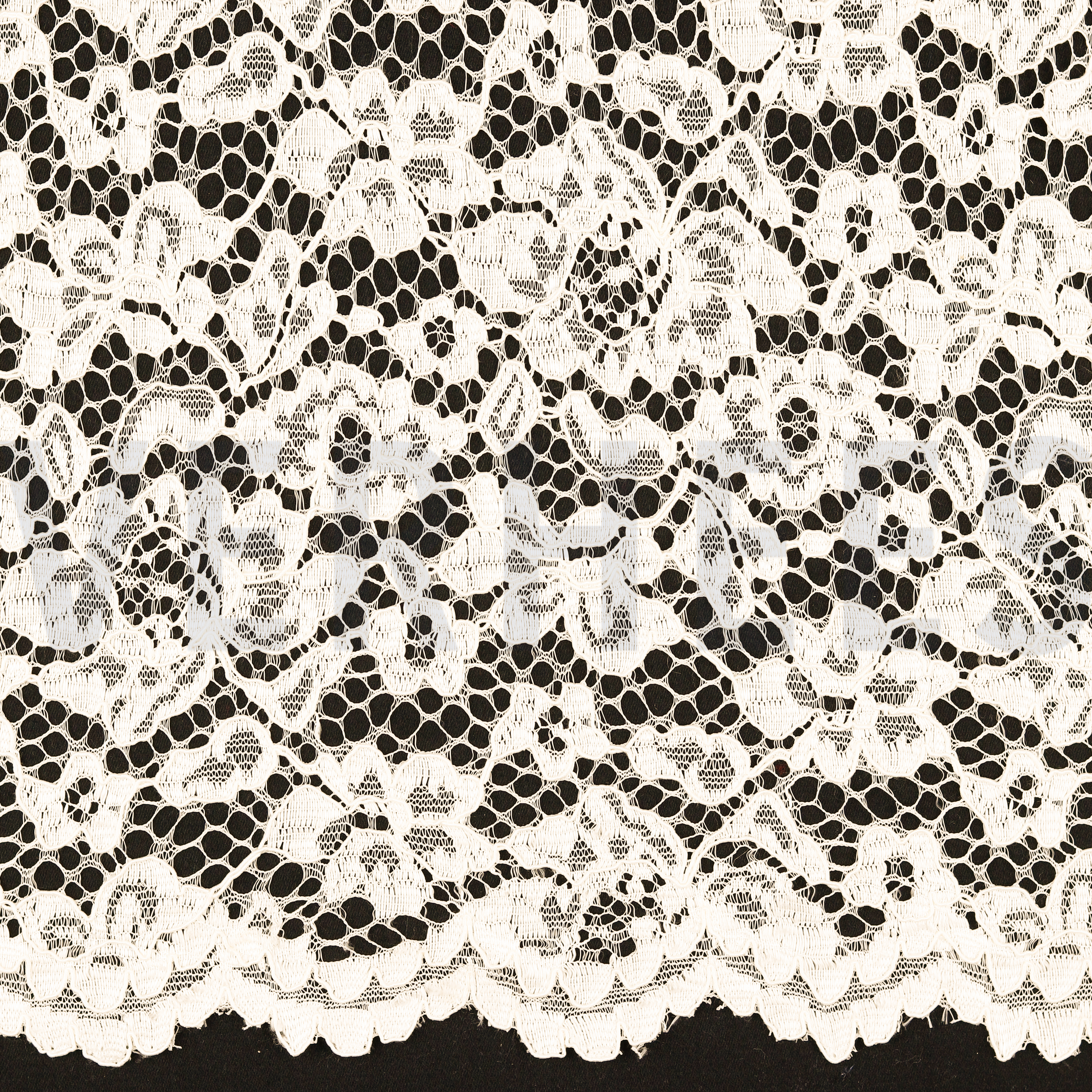 LACE BORDER 2 SIDES ECRU (high resolution)