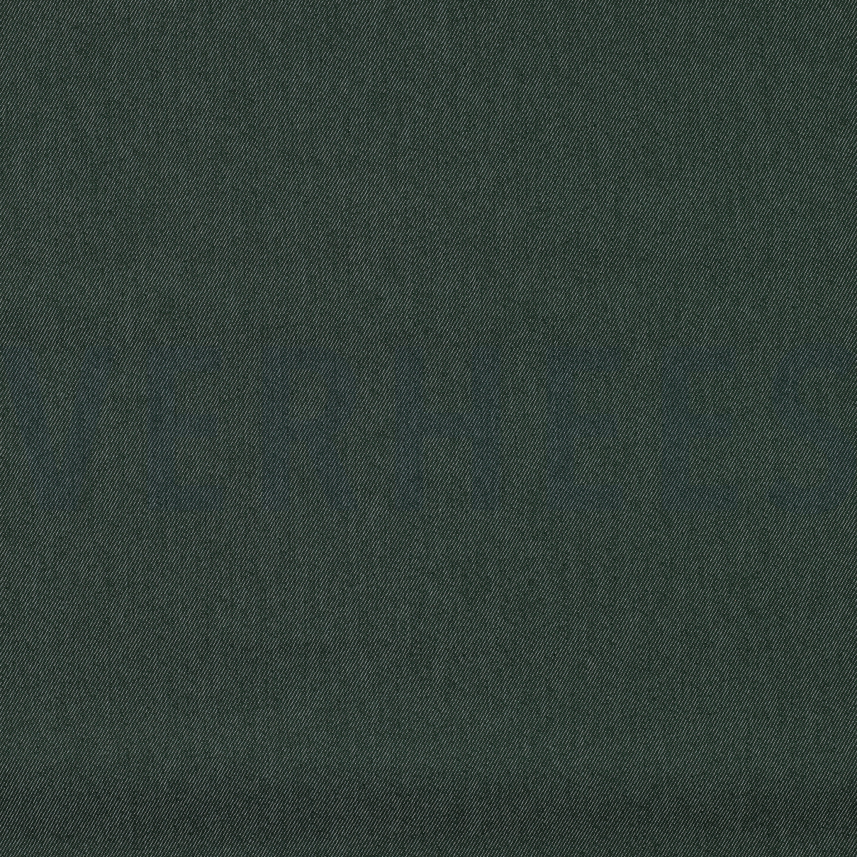 DENIM DARK GREEN (high resolution)