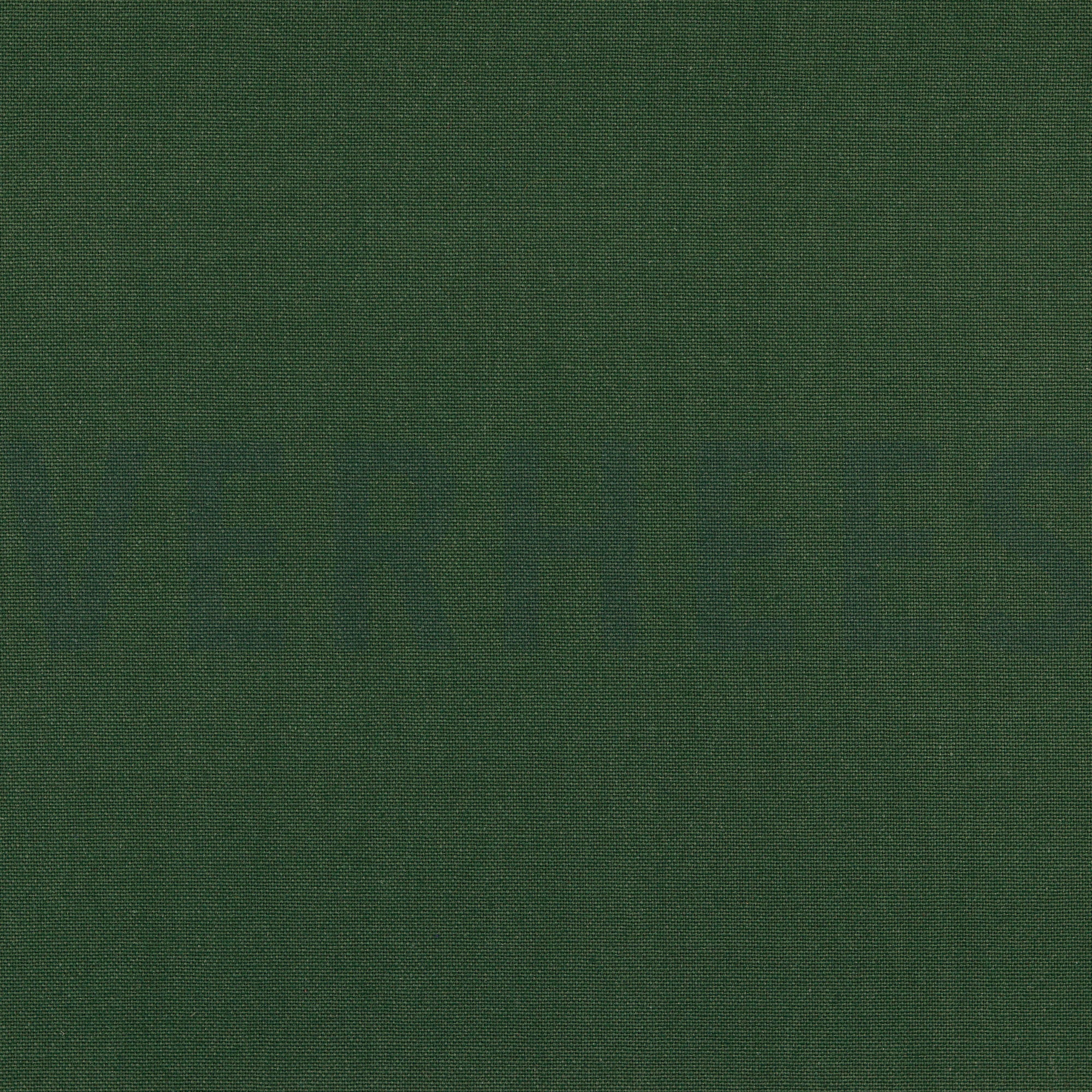 CANVAS DARK GREEN (high resolution)