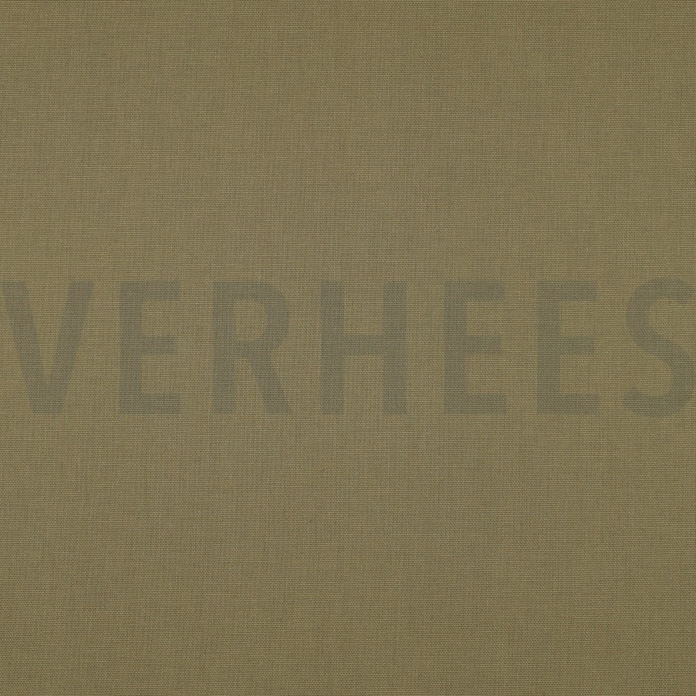 CANVAS OLIVE (high resolution)