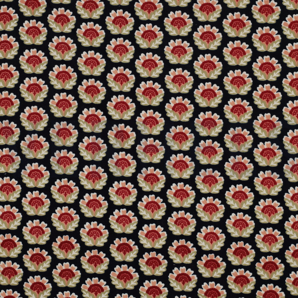 BABYCORD FLOWERS NAVY (high resolution)