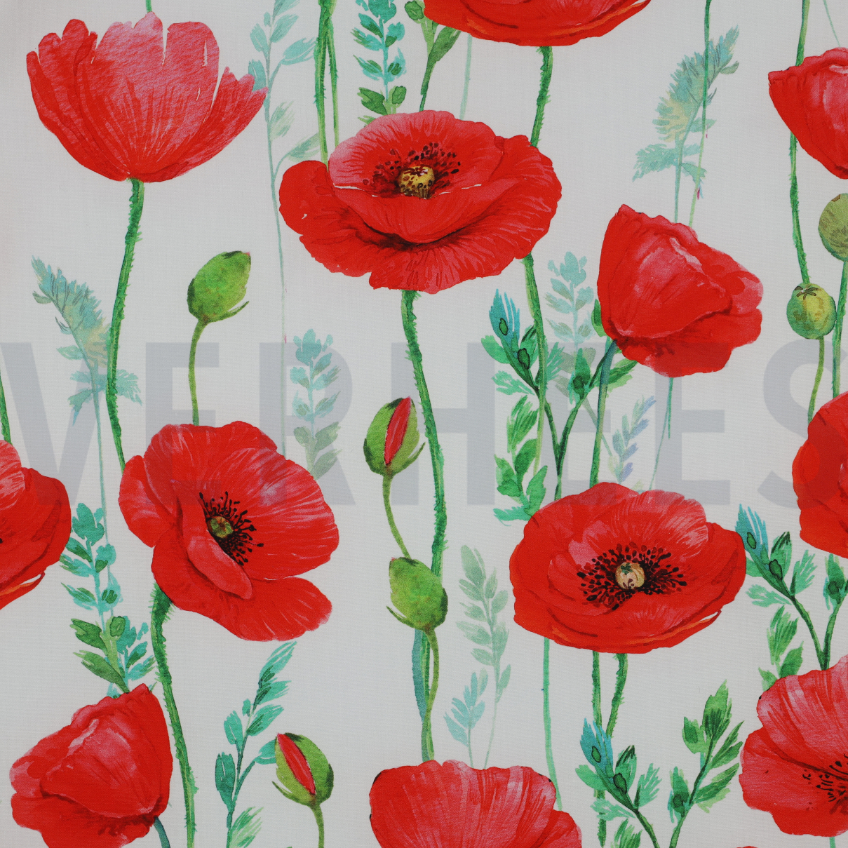 FINE POPLIN DIGITAL POPPY FLOWERS WHITE (high resolution)