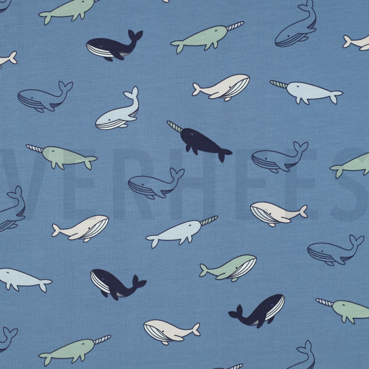 JERSEY WHALES BLUE (high resolution)