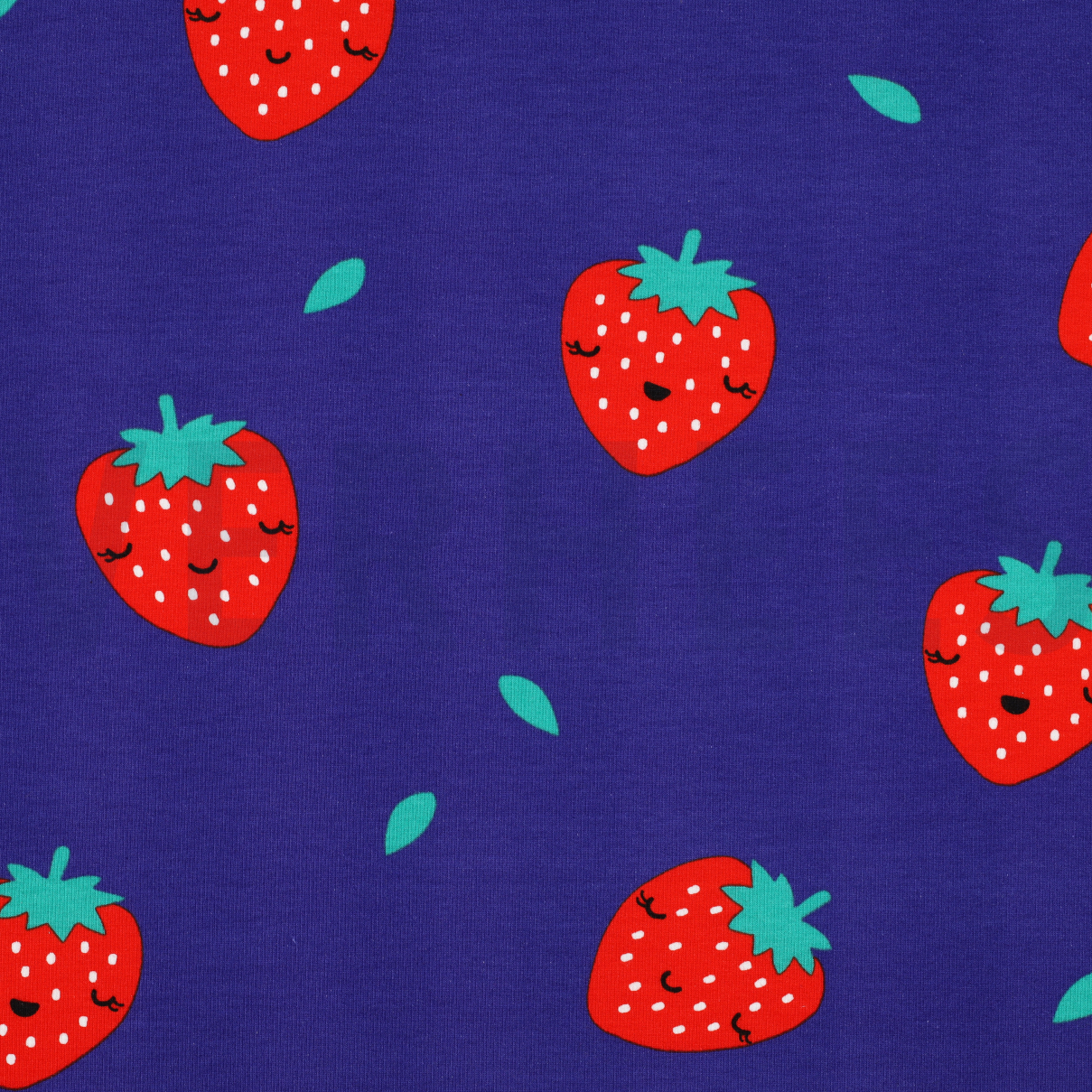 SOFT SWEAT STRAWBERRIES COBALT (high resolution)