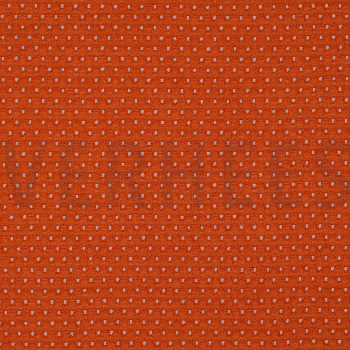 EYELET STRETCH ORANGE (high resolution)