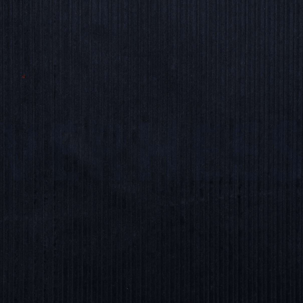 CORDUROY NAVY (high resolution)