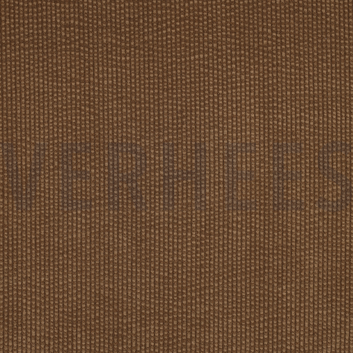 CORDUROY BUBBLE OLIVE (high resolution)