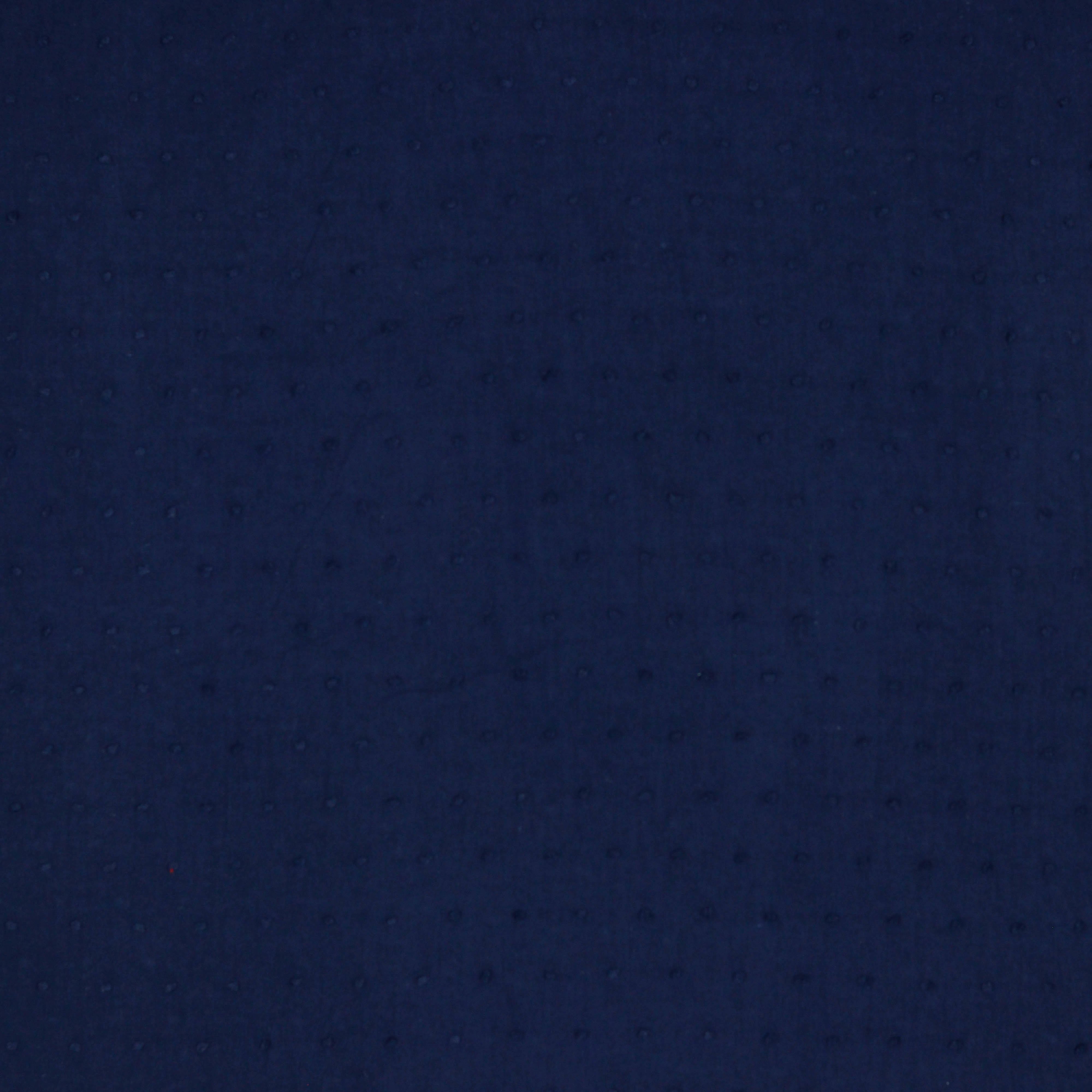 DOTTY NAVY (high resolution)