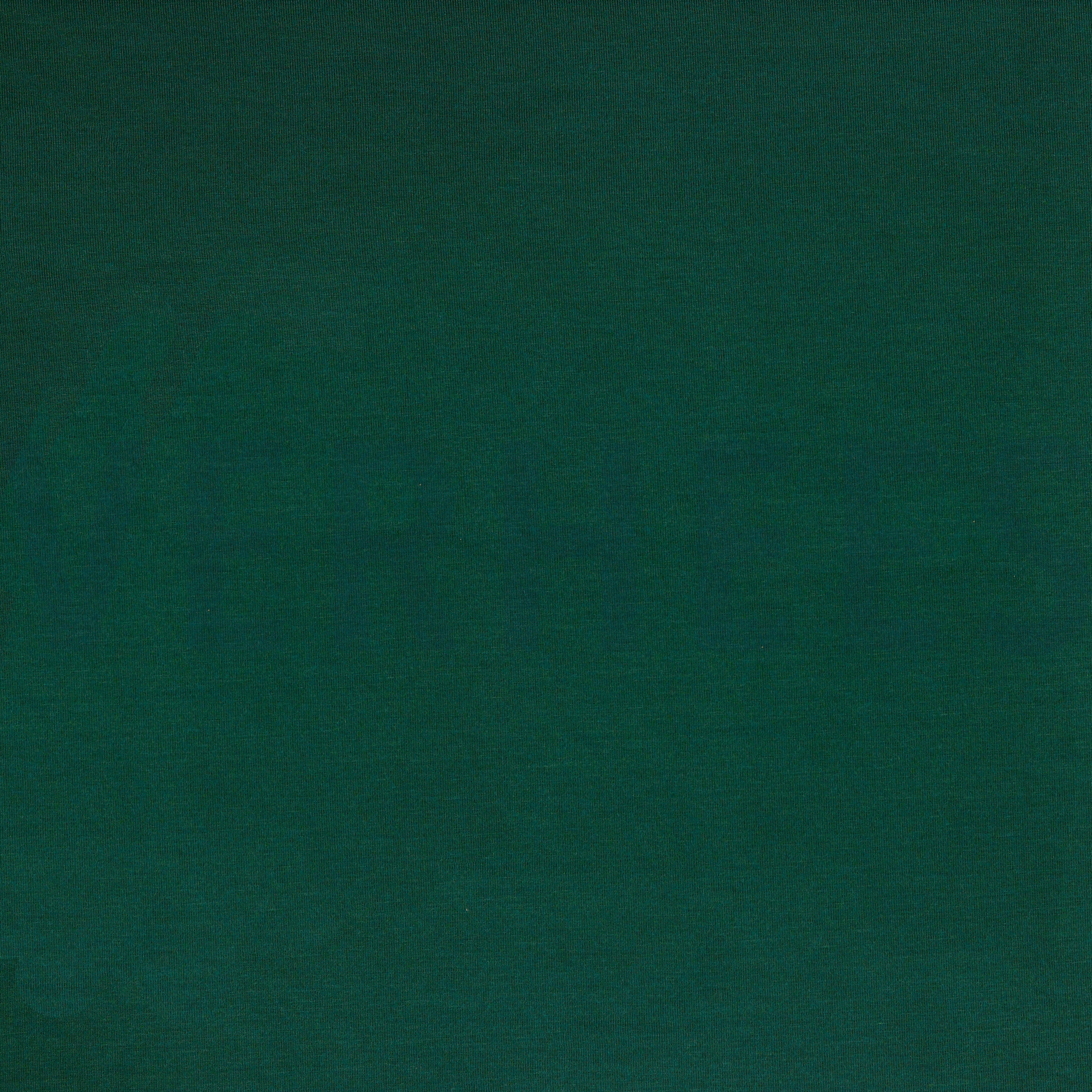 TENCEL™ MODAL JERSEY GREEN (high resolution)