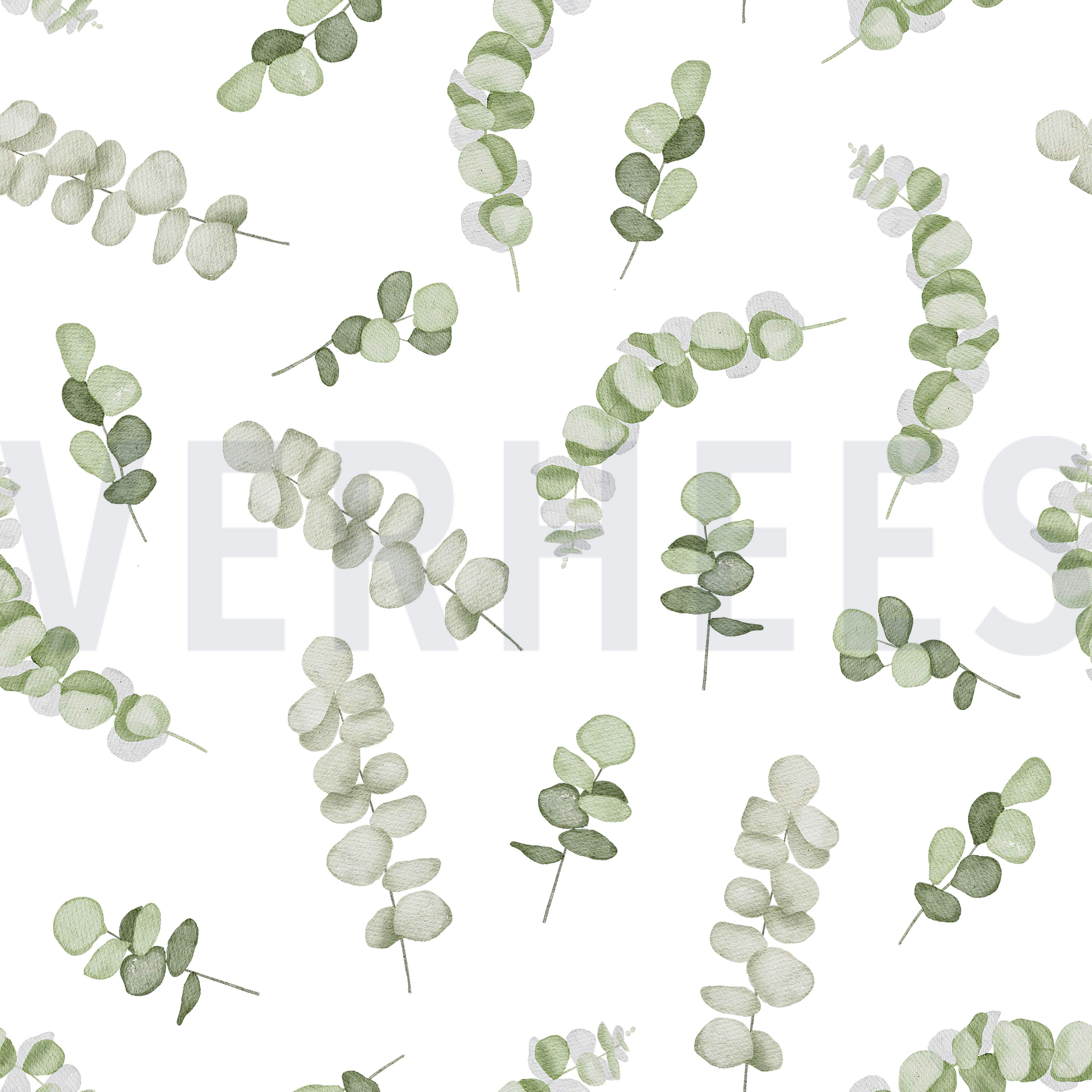 CANVAS DIGITAL EUCALYPTUS WHITE/ GREEN (high resolution)