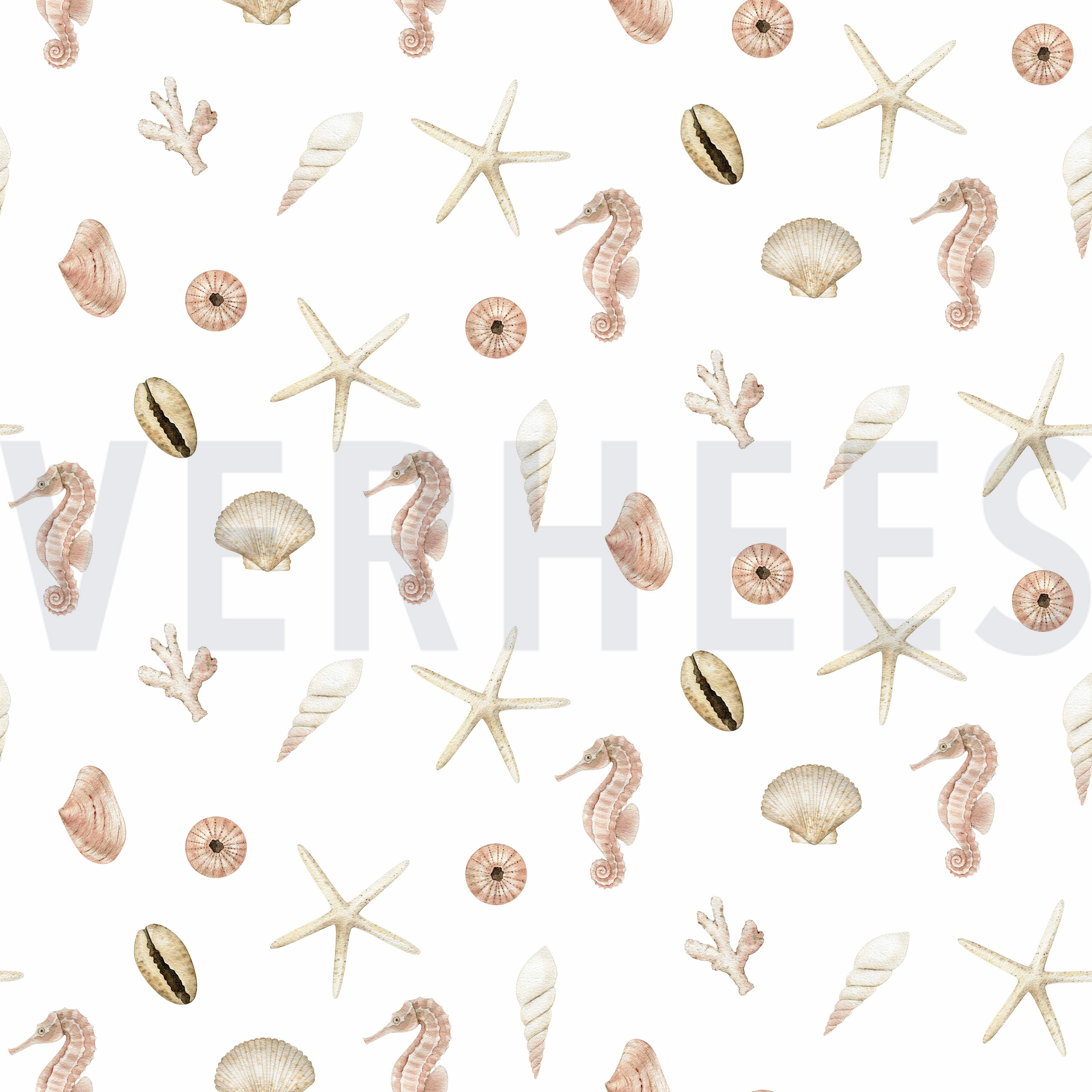 CANVAS DIGITAL SHELLS WHITE (high resolution)