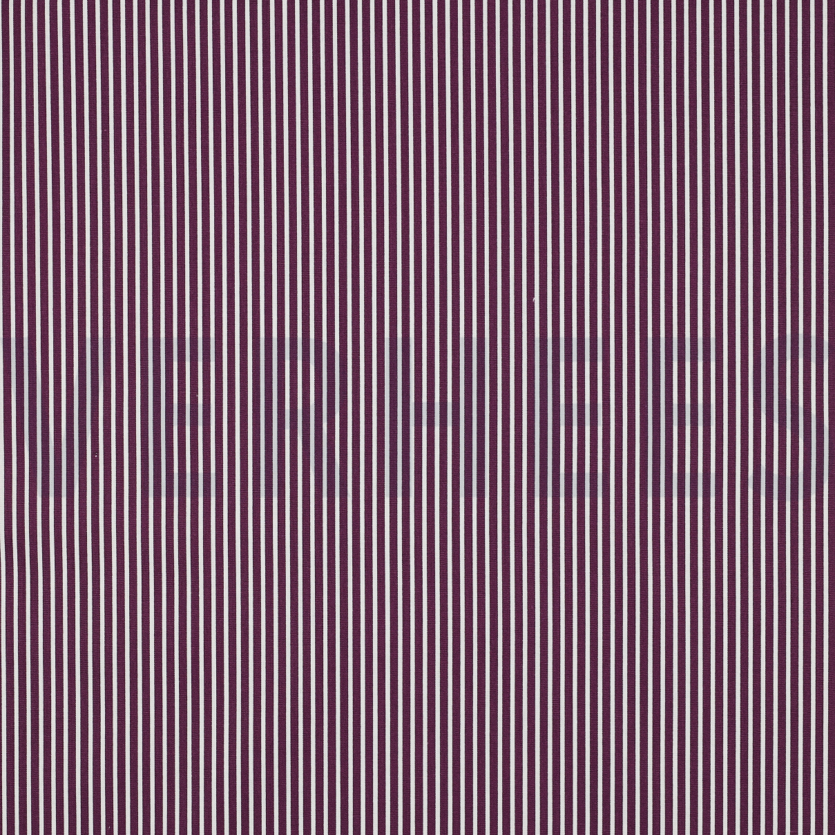 POPLIN STRIPE PURPLE (high resolution)