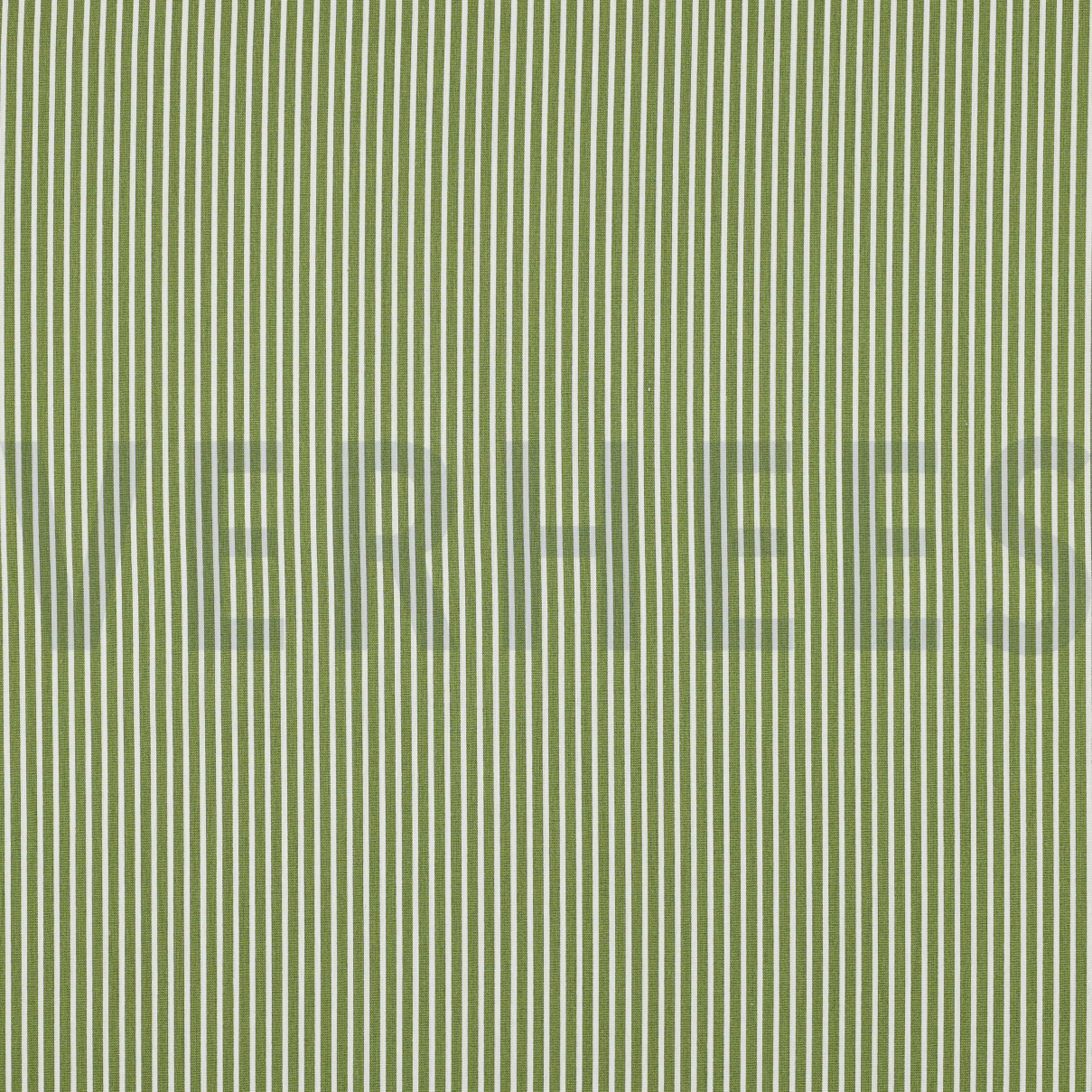 POPLIN STRIPE GREEN (high resolution)