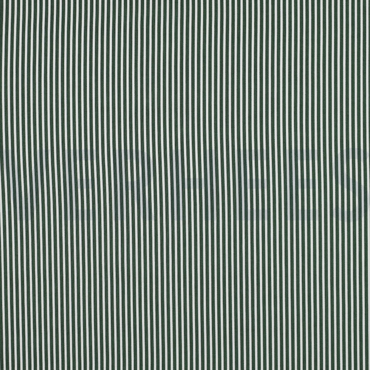 POPLIN STRIPE DARK GREEN (high resolution)