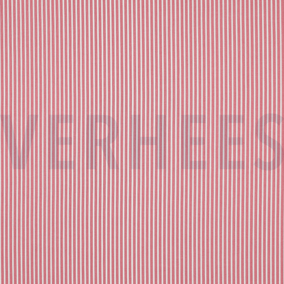 POPLIN STRIPE BLUSH (high resolution)