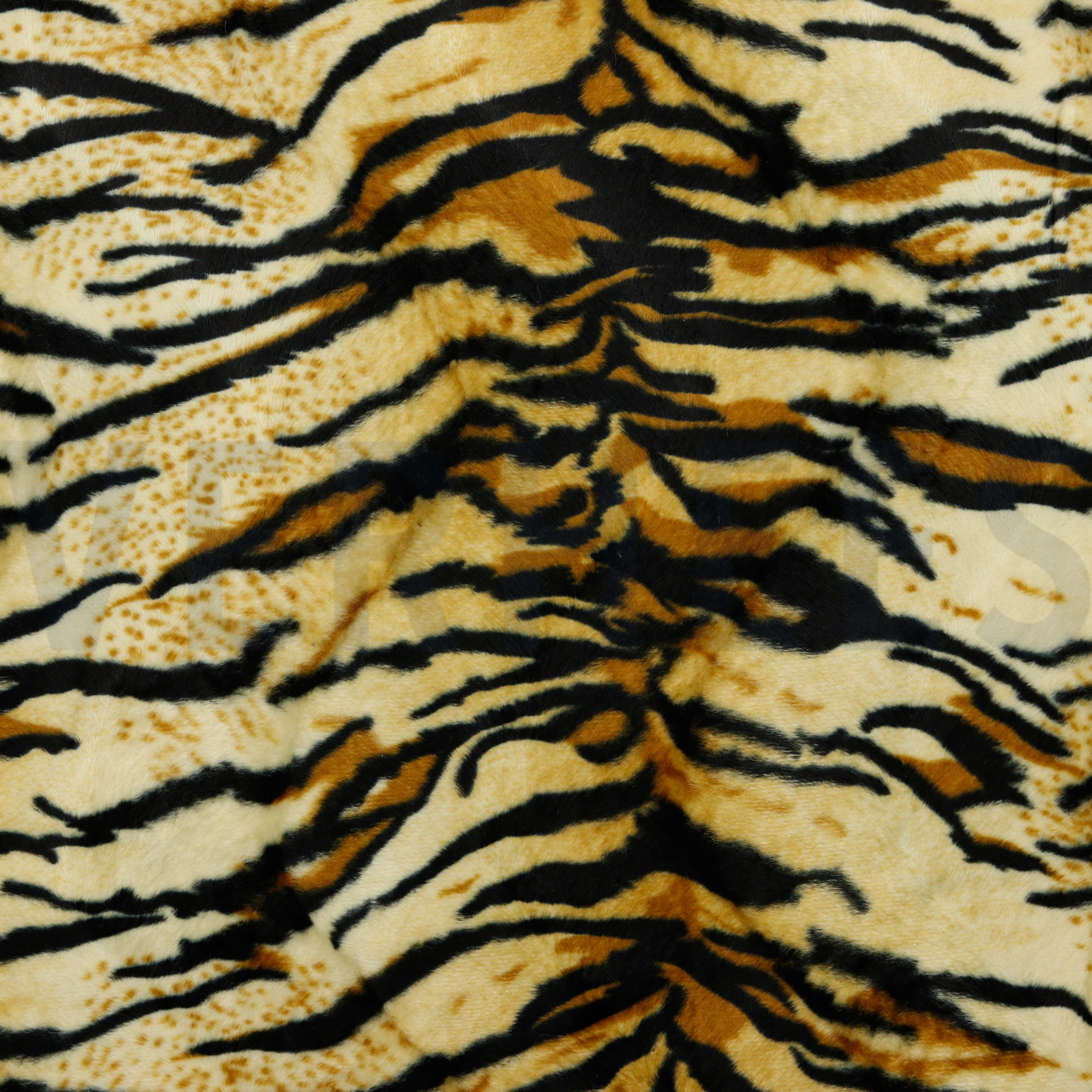 TIGER ECRU/BEIGE/GOLD (high resolution)