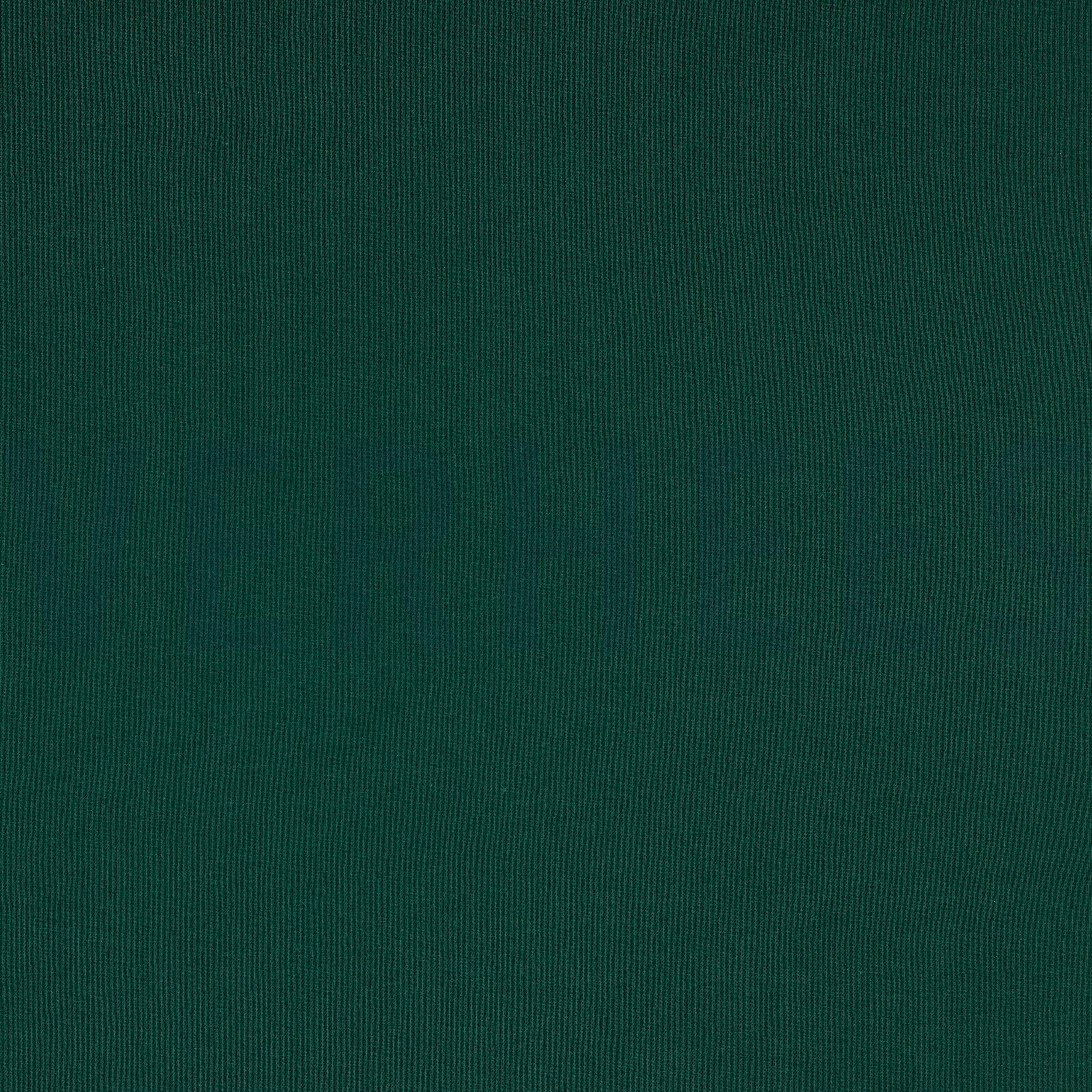 JERSEY DARK GREEN (high resolution)