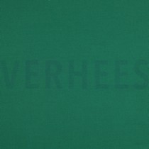 CANVAS GREEN (thumbnail)