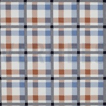 FLANNEL CHECK CINNAMON (thumbnail)