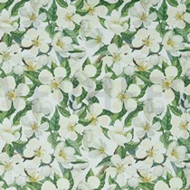 CANVAS DIGITAL BLOSSOM WHITE (thumbnail)