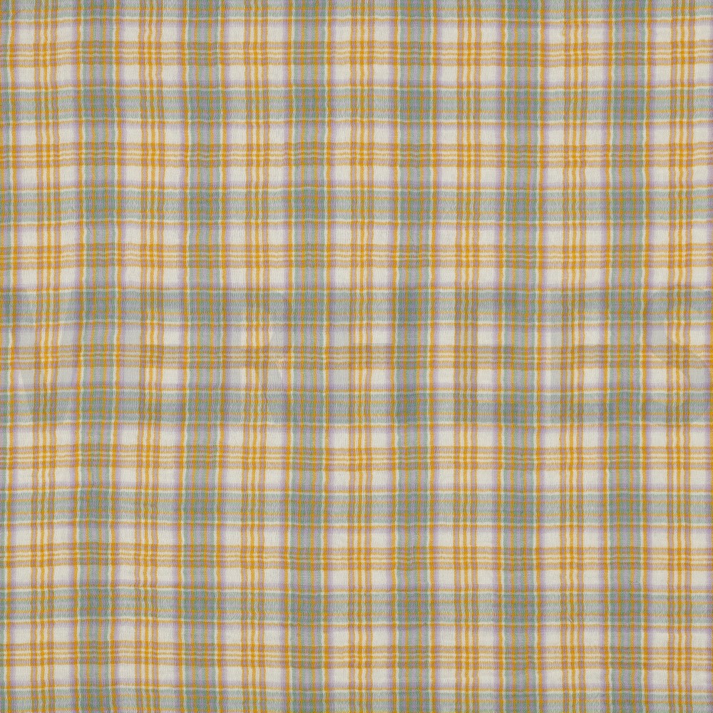 DOUBLE GAUZE YARN DYED CHECKS MULTICOLOUR (hover)